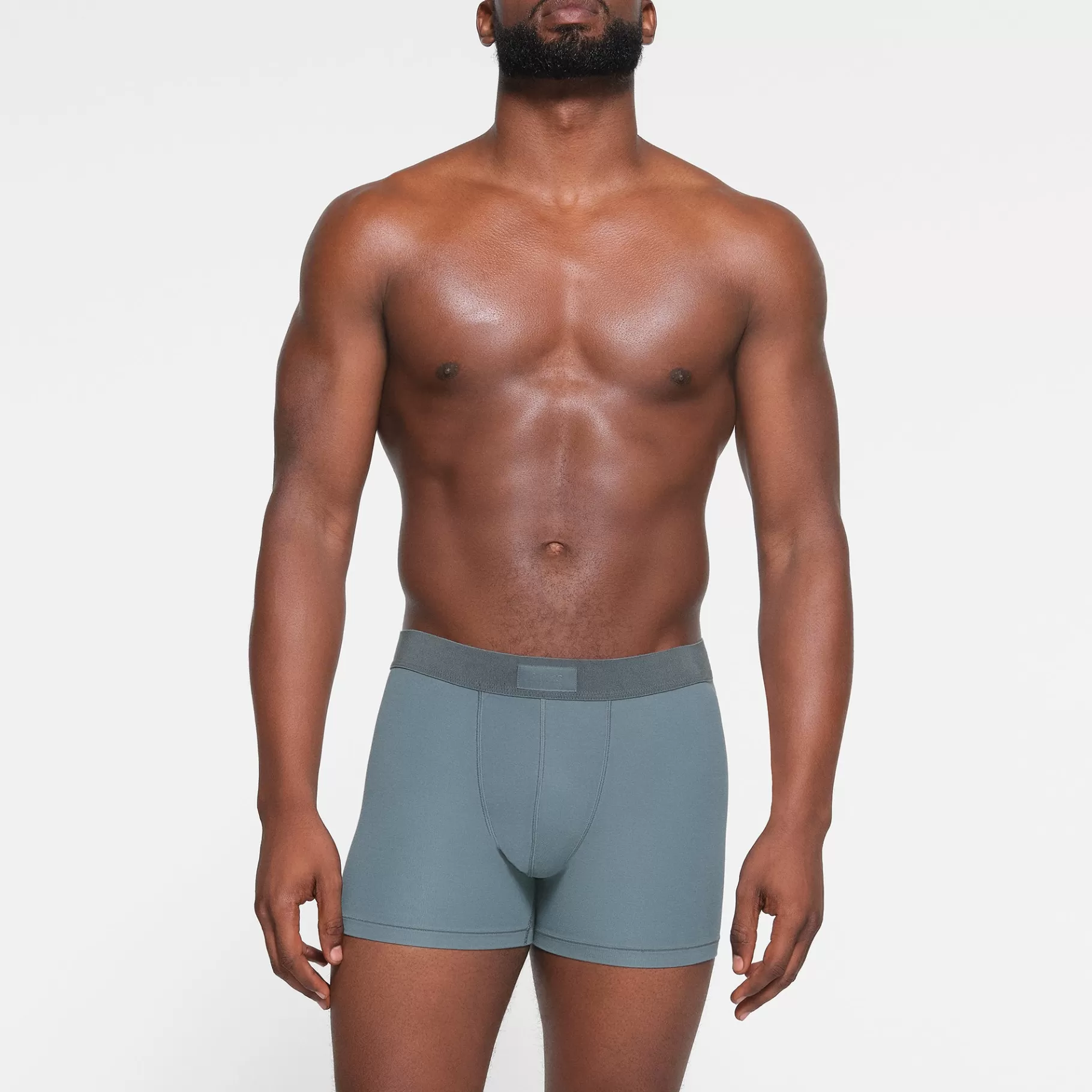 Skims boxers & briefs* COTTON MENS 3\ KYANITE